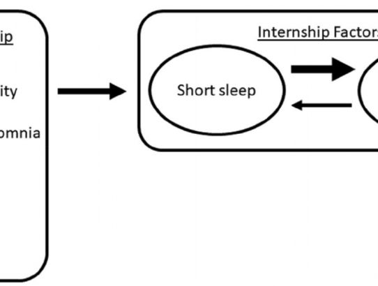 Insomnia symptoms and short sleep predict anxiety and worry in response to stress exposure: a prospective cohort study of medical interns
